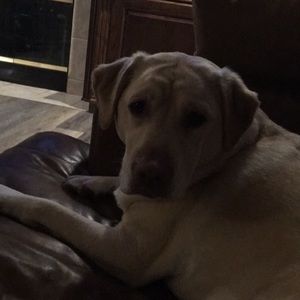 Meet your Posher, Stacey